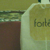 forte3